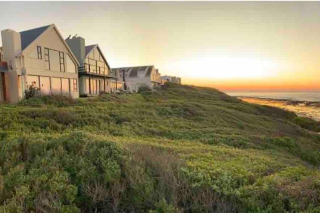 Baby Whale Bliss - Beachfront House Witsand Extérieur photo